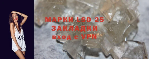 гидра Богданович