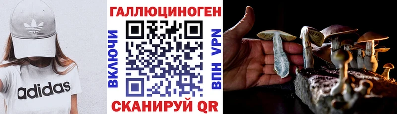 Галлюциногенные грибы Cubensis  Богородск 