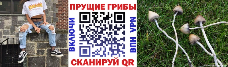 Галлюциногенные грибы ЛСД Богородск